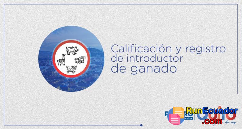 Calificación y registro de introductor de ganado | Ecuador