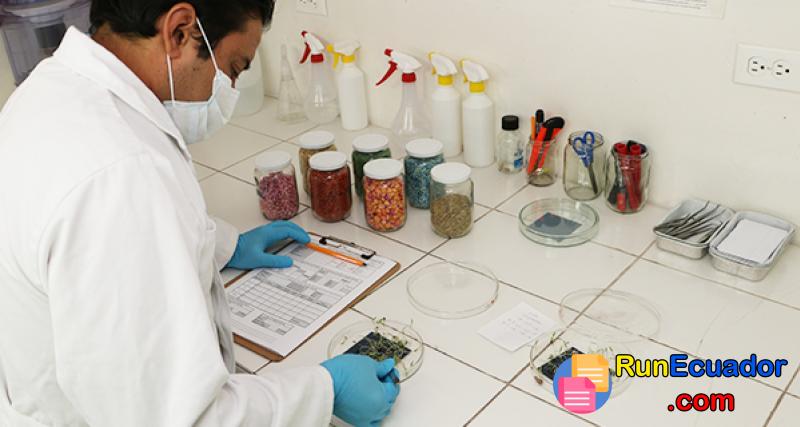 Solicitud de análisis de muestra de pureza, germinación y vigor de semillas | Ecuador
