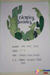 Ciencias-Sociales-2-550x752